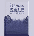 winter sale words on the beautiful christmas flat vector image