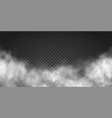 realistic smoke cloud or gray fog vector image