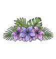 tropic hawaii exotic plant for surfing tiki bar vector image