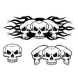 skulls tattoo vector image