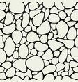 gravel mosaic pavement vector image