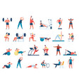 people exercise in gym female and male characters vector image