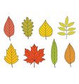 hand drawn colorful autumn leaves set vector image vector image