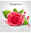 red rose on a gray background vector image