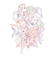 drawing background with flowers vector image