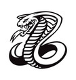 cobra logo vector image