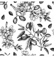 almond branches background design blooming tree vector image vector image