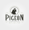 pigeon logo vintage design dove vector image vector image