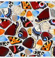 butterfly and moth wings seamless pattern vector image