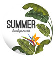 summer background with tropical leaves and flower vector image