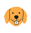 cute retrieverface dog head icon hand drawn vector image