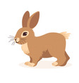 flat cute wild animal - hare or rabbit vector image