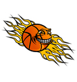 flying basketball ball vector image
