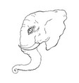 head of elephant vector image