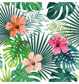 Seamless tropical pattern white background Vector Image