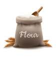 burlap bag flour vector image