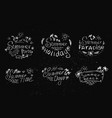 set summer labels on black background vector image