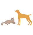 animals cat and dog domestic pet mammal vector image vector image