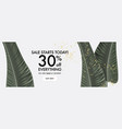 ficus realistic leaves with gold splashes vector image vector image