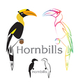 image of an hornbill vector image