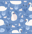 seamless pattern with white swans and brood vector image vector image