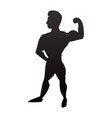 bodybuilding man silhouette vector image
