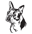 decorative portrait of dog boston terrier vector image