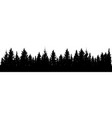 silhouette forest fir trees vector image