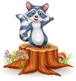 cartoon funny raccoon waving hand vector image