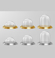 realistic glass domes on silver and golden base vector image