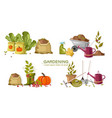 set autumn gardening tools vector image vector image