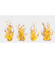 set of burning campfires vector image
