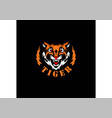 tiger head vector image