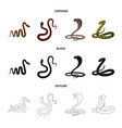 mammal and danger logo vector image