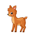 cute brown baby deer stands deer cub in cartoon vector image