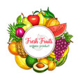 poster of fresh tropical exotic fruits vector image