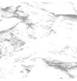 background of cement mortar texture vector image vector image