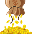 coins vector image vector image