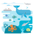 flat of sea and animals vector image