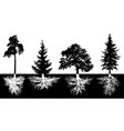 set trees with roots silhouette forest vector image vector image