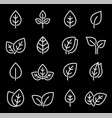 set white isolated line leaf icons vector image vector image