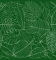 leaves tropical plants green and white outline vector image