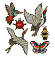 ladybug butterfly beetle crane vector image