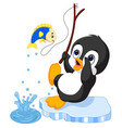 penguin fishing vector image
