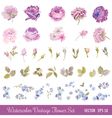 vintage flower set - watercolor style vector image vector image