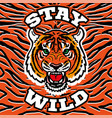 wild tige head print vector image vector image