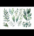 watercolor floral set green leaves vector image vector image
