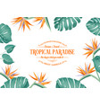 beautiful card with a wreath strelitzia vector image