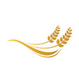 wheat rice agriculture logo grain vector image
