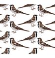pattern of barn owl vector image